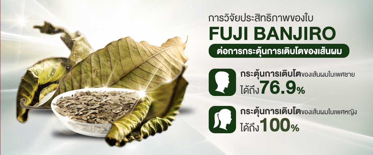 สารสกัด Fuji Banjiro สู่แชมพูลดผมร่วงชุด Green Series