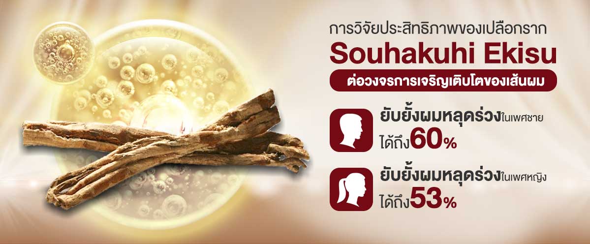 ประสิทธิภาพของ Souhakuhi Ekisu สู่แชมพูแก้ผมร่วง